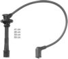 BERU ZEF920 Ignition Cable Kit